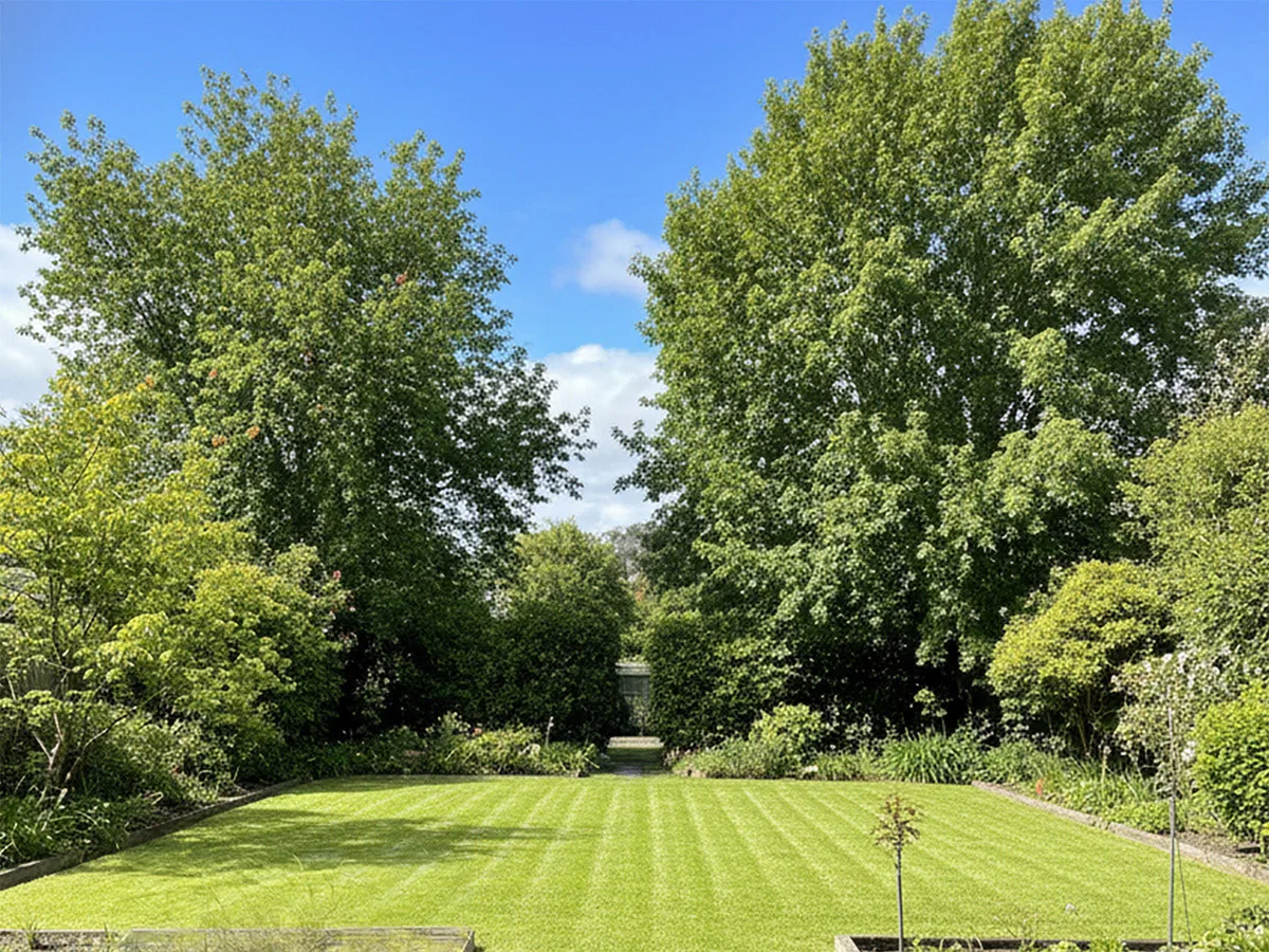 Even, healthy lawn and clear yard after a full garden tidy